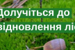 Прикарпатців запрошують долучитися до відновлення лісу разом з НПП «Гуцульщина»