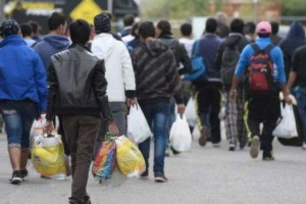 З Івано-Франківщини видворили 76 нелегальних мігрантів