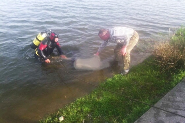 Франківські водолази виловили у міському озері тіло місцевого мешканця