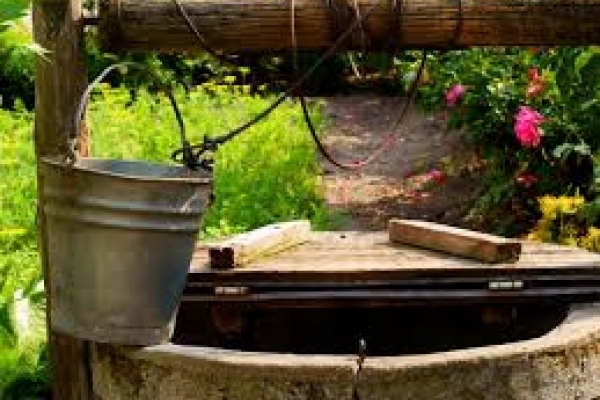 На Прикарпатті виявили перевищення вмісту нітратів у пробах криничної води