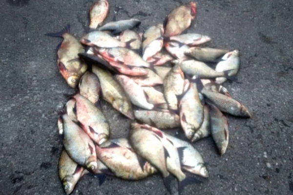 На Бурштинському водосховищі впіймали браконьєрів з понад 40-кілограмовим уловом