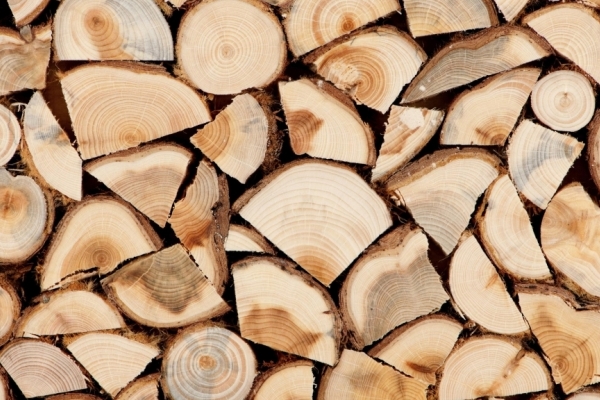 Взяв хабар дровами для тещі: У Франківську засудили податківця