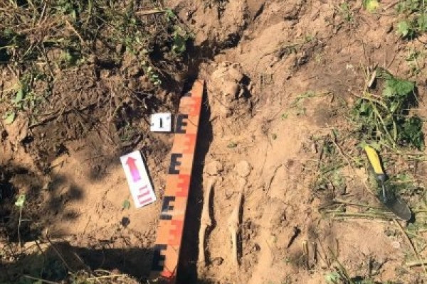 Моторошна знахідка: під час розкопок знайшли останки маленької дитини (Фото)