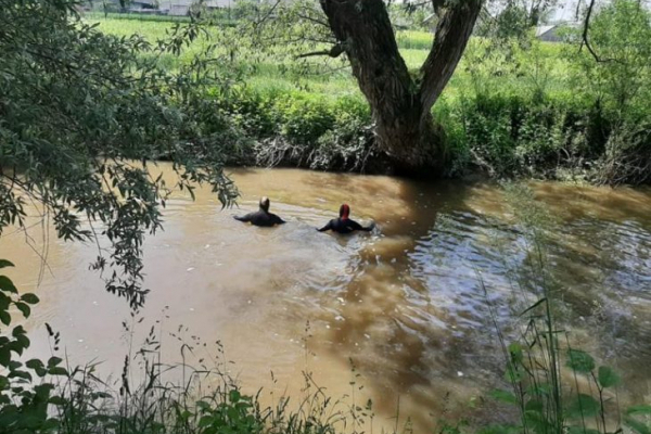 На Долинщині водолази вилучили тіло загиблого з річки