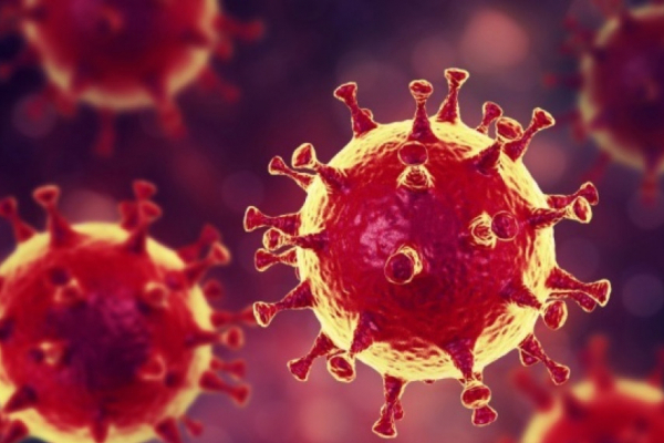 Коронавірус на Прикарпатті: новий рекорд - 651 випадок за добу