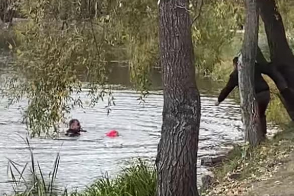 Прикарпатські поліцейські, які витягли дівчинку з озера у Києві, розповіли деталі порятунку