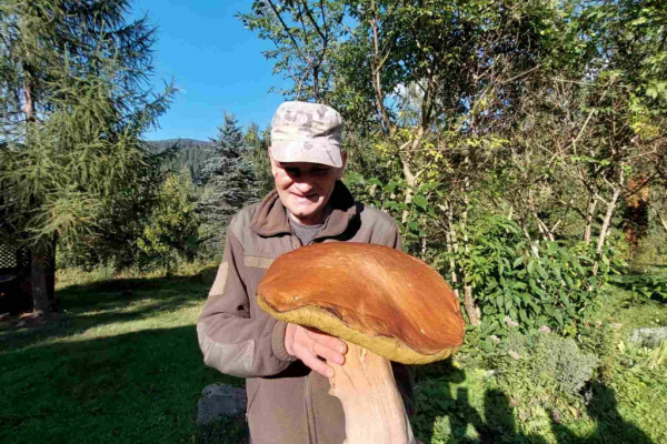 У Карпатах біля Ворохти знайшли білий гриб вагою понад три кілограми