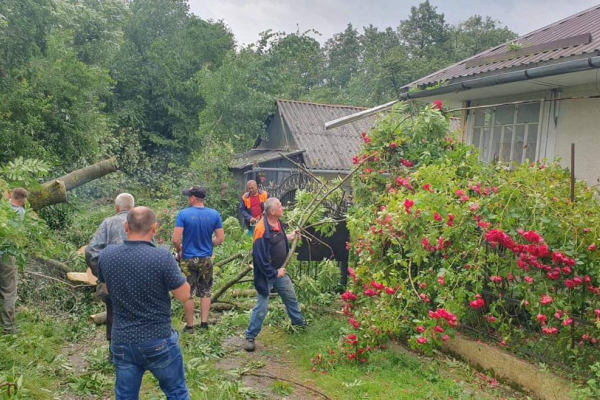 Повалені дерева, порвані лінії електропередач: на Франківщині вирує негода