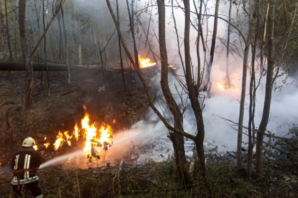 Вибух нафтопроводу на Надвірнянщині: відомо про шістьох постраждалих