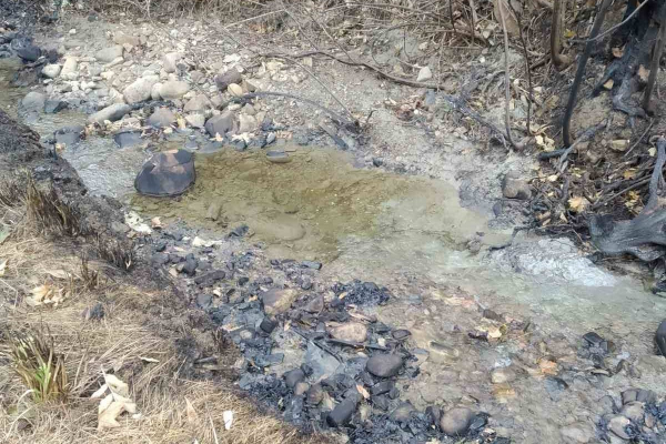 На Прикарпатті у річці Стримба вміст нафтопродуктів у п'ять разів перевищує норму
