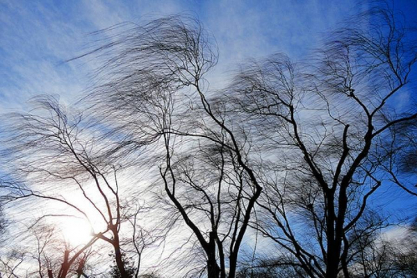На Прикарпатті оголосили штормове попередження: прогнозують небезпечне метеорологічне явище